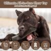 Indestructible Squeaky Dog Toy - Image 3