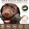 Indestructible Squeaky Dog Toy - Image 4